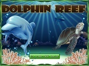 Dolphin Reef