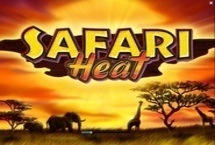 Safari Heat