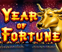 Year Of Fortune