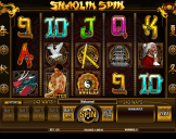 Shaolin Spin